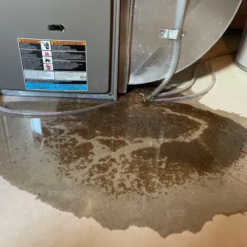 Appliance Leak Cleanup in Georgetown, CO